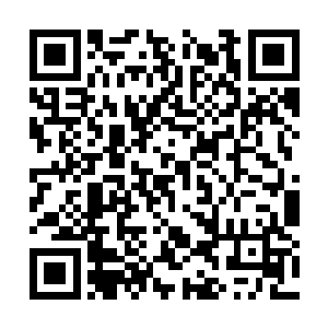 隐隐感觉自己触碰到了那一层阻碍自身成长的屏障二维码生成