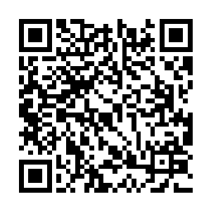 隐隐的感觉到蕴含着强大的空间时间法则在其中了二维码生成