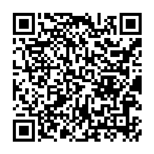 隐隐约约露出一个规则的轮廓……如果不是刚刚那截小腿漂浮起来越过他飞过去二维码生成