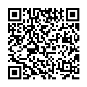 隐隐还能见着有活着的类似蛆虫一般的小生物在他的身体上爬动二维码生成