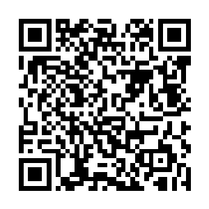 隐龙要向中心省的那些大人物申请提升计划警戒等级二维码生成
