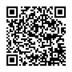 隔一段时间吃一颗即便是闻到了那味道也不会完全失去能力二维码生成