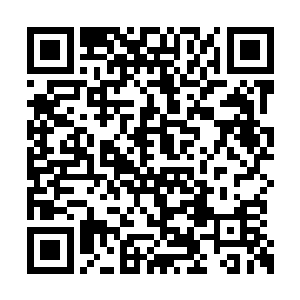 隔三岔五地吃上从不敢想的大米饭是绝对的事实二维码生成