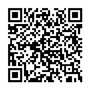 隔三岔五总要蒸上那么一两条鱼来改善一下伙食二维码生成