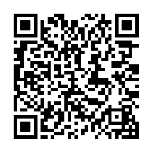 隔三差五的就有倭患急报从江南八百里加急传入京城来二维码生成