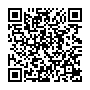 隔天的时候也没有要去打个电话问候一下的意思二维码生成