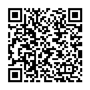 隔着这么厚的衣服准确刺穿心脏是一件很麻烦的事二维码生成