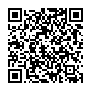 隔窗的五级士官也是刻意的看了一眼自己的大队长二维码生成