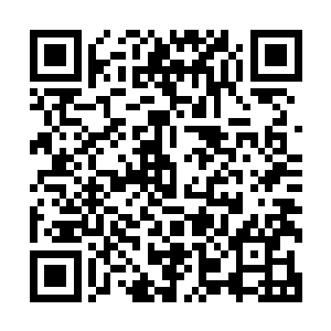 隶属于自己的军舰已经被活生生的拆成了漂浮在海面上的废铁二维码生成