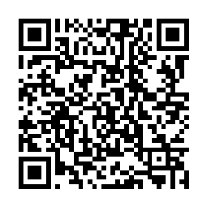 难不保再跳出来一个像上代院长那般不要命的狠人二维码生成