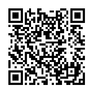 难不成……这个所谓的普天是一位大帝级别的高手二维码生成