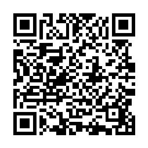 难不成丁羽不知道同学会里面的关系究竟有多么的庞大吗二维码生成