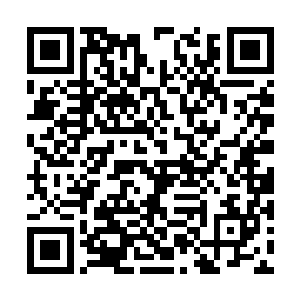 难不成他希望她嫁过来第一天就成为京城的名人么二维码生成
