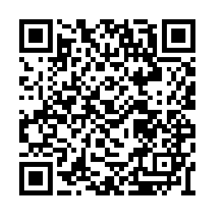 难不成你这皇城的护卫队队长与羊家有什么关系二维码生成