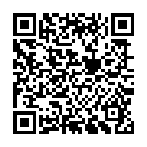 难不成在这三天的时间内你的实力就已经晋级为圣者了么二维码生成