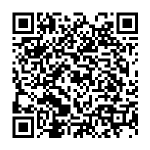 难不成就看着你们祖师爷用这些药田资源把我们门中弟子都贿赂走二维码生成