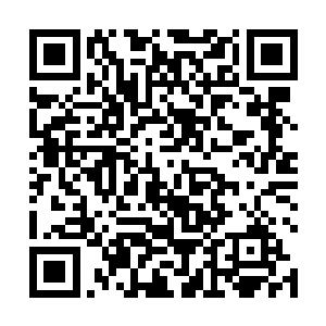 难不成我顾家的心法还是套了别的名字的三流术法不成二维码生成