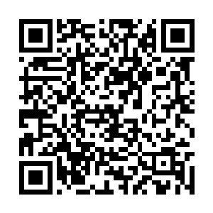 难不成是刚才那边的段文彪和徐娇娇刺激了这丫头二维码生成