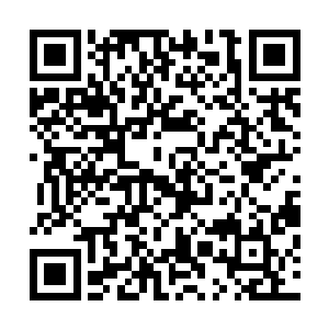 难不成永远不出现我就永远别想安心修炼一直在这里晃下去二维码生成