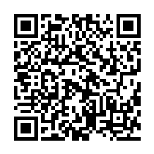 难不成自己在这未来神殿里面炼制出来的丹药就是未来丹药二维码生成