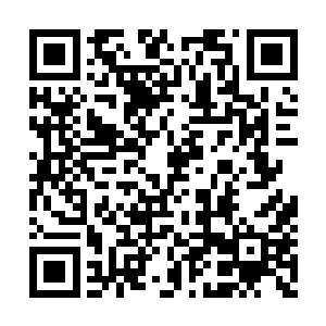 难不成还能让你们将我灵农宝宗的传承也灭掉吗二维码生成