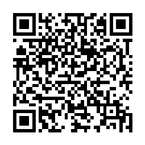 难不成这个看起来一点实力都没有的年轻人还能杀了他不成二维码生成