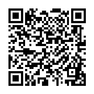 难不成这北冥世家之中还有人故意让小刀杀害小姐不成二维码生成