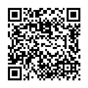 难不成那些大势力会为了一个人为宁可错杀一个而不放过一个二维码生成