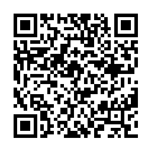 难以置信这种纯物理的力量能这样击破幻阵法阵上限二维码生成