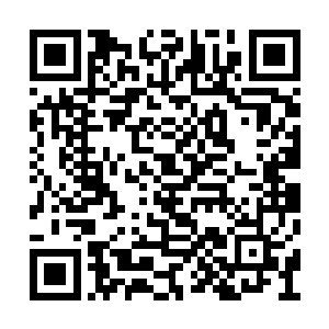 难保有才华满腹之人趁机借助家族之势夺了江山二维码生成