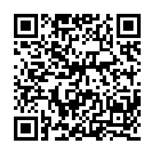 难倒各位不应该投一张双倍月票安慰下李师傅吗二维码生成