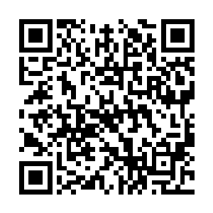 难免会让阿达曼的心里产生一种幸灾乐祸的快感来二维码生成