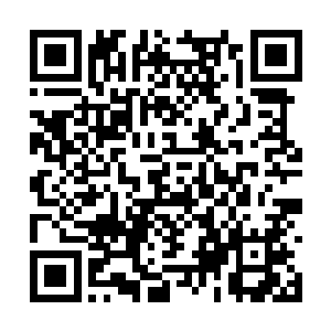 难得像个真正为人师表的高阶修士一般说出一句话二维码生成