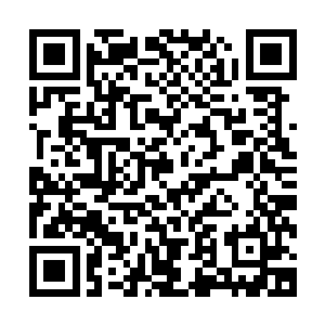 难得看到这么胆大到竟然敢挑战城主府的无角人魔战士和魔巫二维码生成