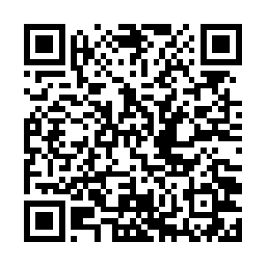 难得遇到一个能让我感兴趣能让我新添心疼情绪的人二维码生成