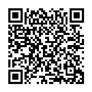 难得青少爷还记得我作的扒玛――我今夜就作扒玛二维码生成