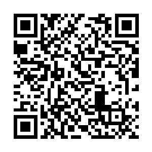 难怪之前吞噬的时候会被那般巨量的信息量冲击到二维码生成