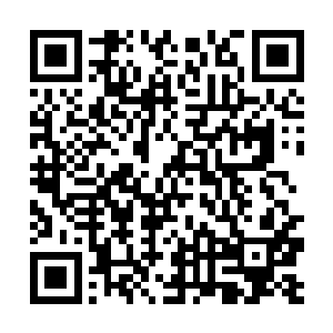 难怪之前我抓他家人的时候怎么都感受不到他的存在二维码生成