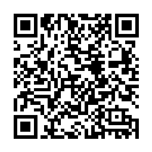 难怪他刚才下车的时候为什么要看着自己和雷鸣两个人二维码生成