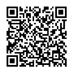 难怪以前的人类强者到魔兽森林核心探索都没有回来二维码生成