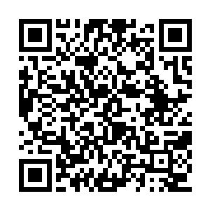 难怪各方势力都想方设法要在死亡之海开辟驻地二维码生成