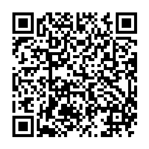 难怪吴锦天这么喜欢你都碰钉原来你是自己找到了胖叔这一棵歪脖树啊二维码生成