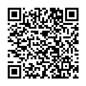 难怪在三条街之外就已经有巡警开始维持交通秩序了二维码生成