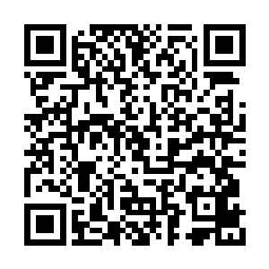 难怪在绝大部分联邦顶尖高手都选择深海流晶铠二维码生成