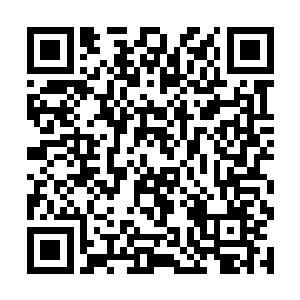 难怪夜逍遥第一时间就把生了虫子的灵田布上了阵法二维码生成