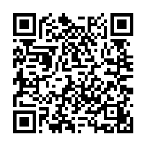 难怪它方才一直感觉到面前的女子对自己满怀善意二维码生成