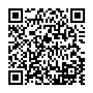 难怪市人民医院的主任医生朱燕大美女都对周狼非常感兴趣二维码生成