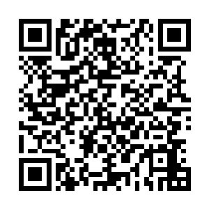 难怪我布置完阵法之后竟然会收获如此恐怖的大道功德之力二维码生成