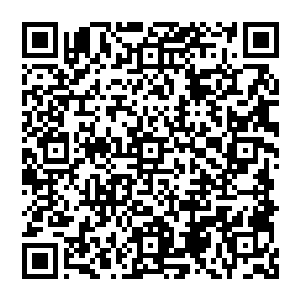 难怪我感觉这个味道有那么一些熟悉原来是这个味道就是爷爷和奶奶那边的味道有点不太一样二维码生成