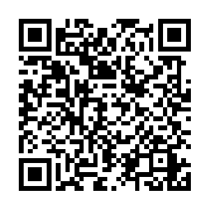 难怪来时易道人和灵乾道人都特意提醒我防备应州于扰二维码生成